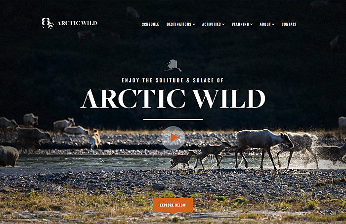 arcticwild